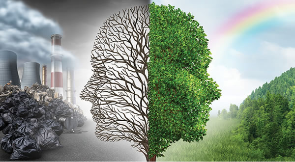 Solar Hybrid Energy LLC ¡desarrollo sostenible!