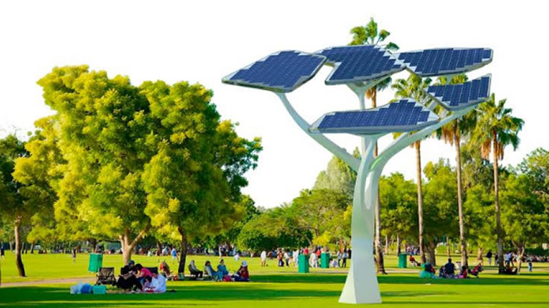 arboles solares